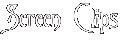 Screen Clips